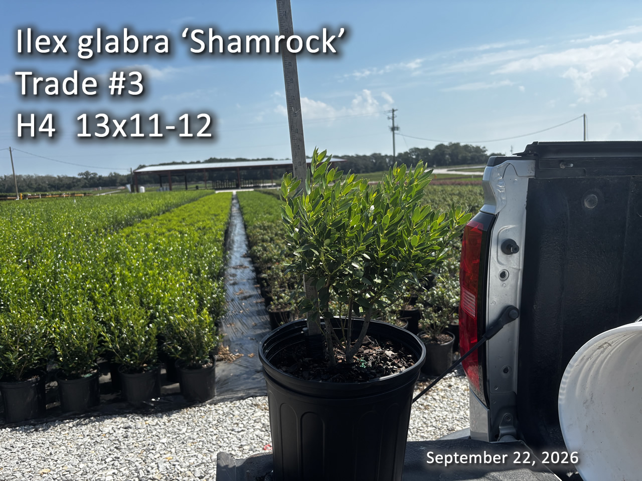 gallery/igs3t h4 sept22.jpg